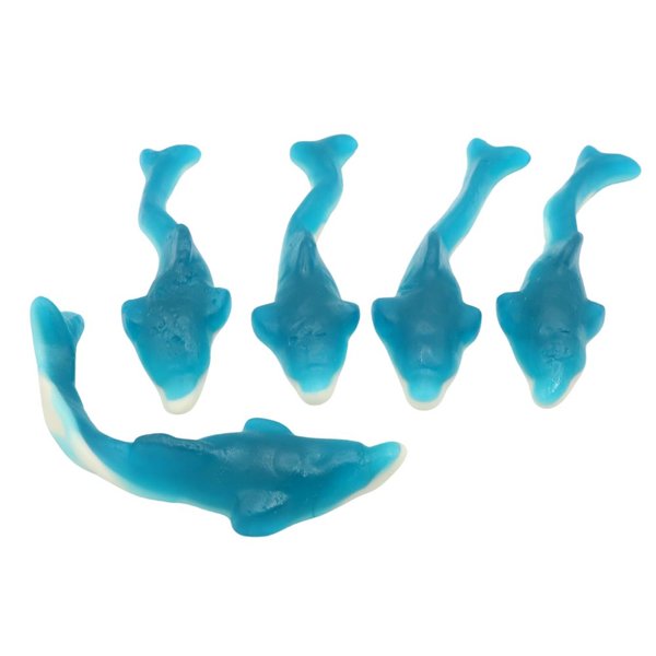 Giant dolphins